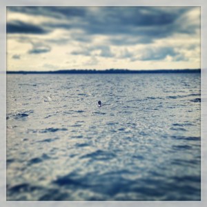 I had to keep my body underwater to stay warm, but I managed to float in the lake. 